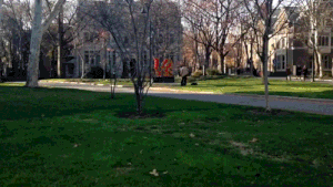 good-timelapses6.gif