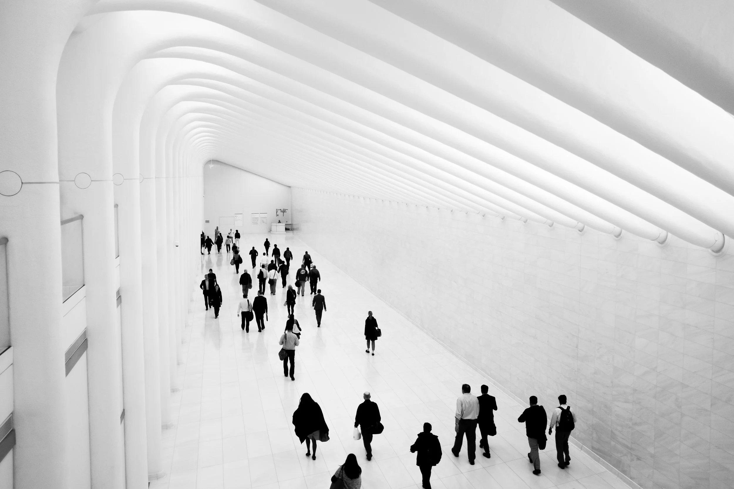 20151009_white.jpg