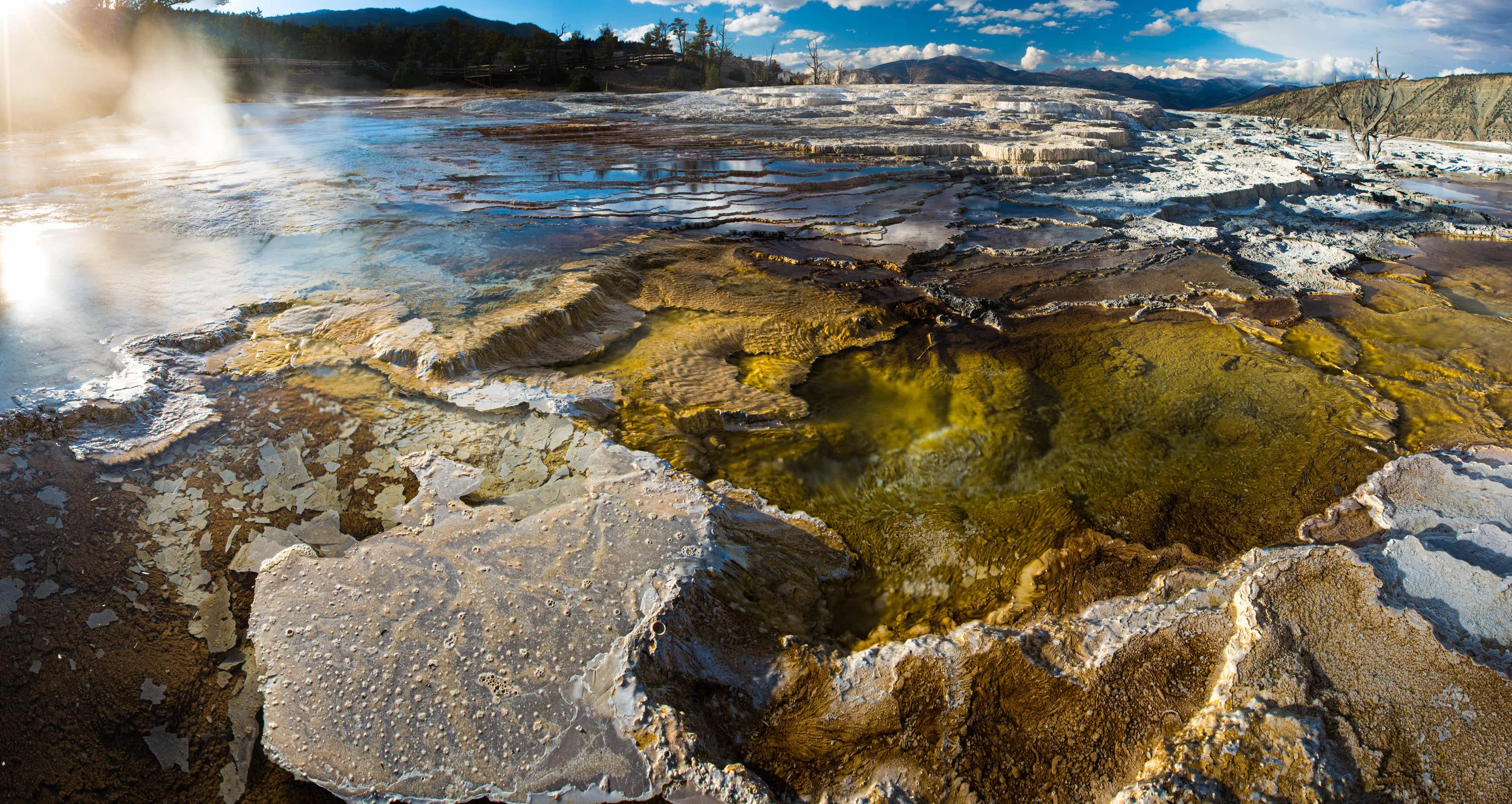 JChen-Landscape--5.jpg